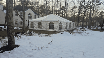Frame Tent: 30'x40' Rental - Image 2