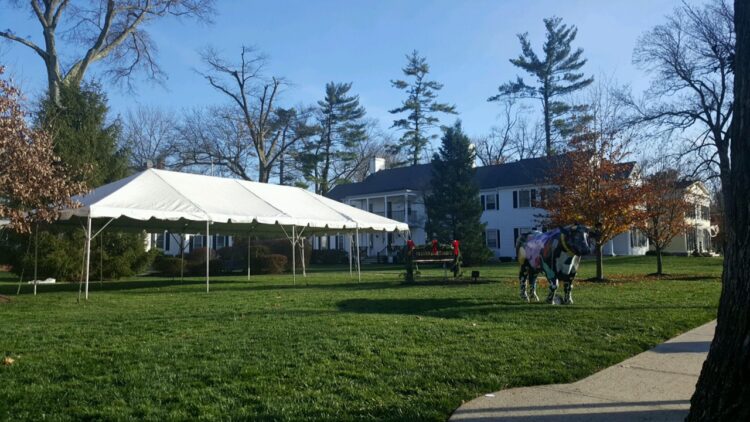 Frame Tent: 16'x32' Rental