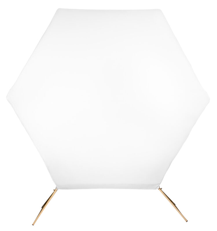 Hexagon Backdrop / Room Divider Rental