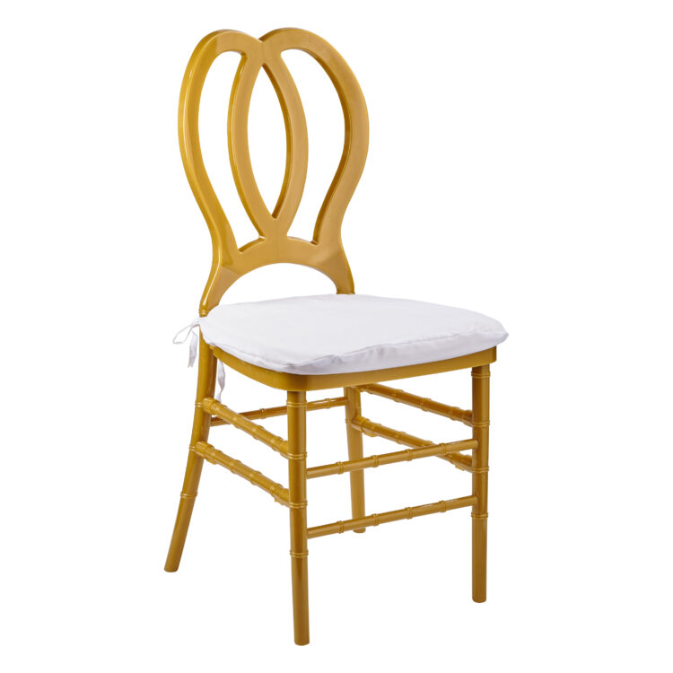 Carmel Flora Chair Rental BR135