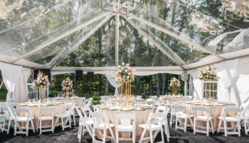 Clear Top Tent Wedding Party Package Rentals